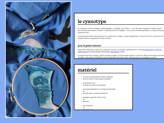 annexes/cyanotype screenshot