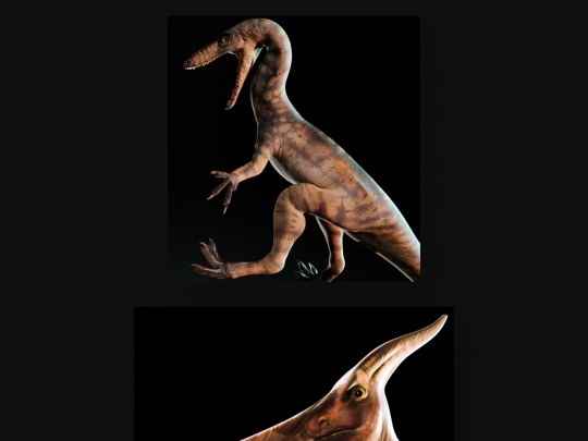3D screenshot