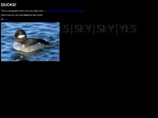 duck screenshot