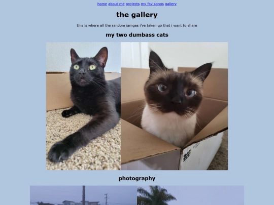 gallery screenshot