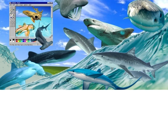sharks screenshot