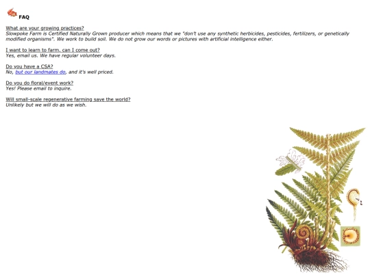 FAQ screenshot