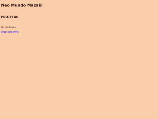 projetos screenshot