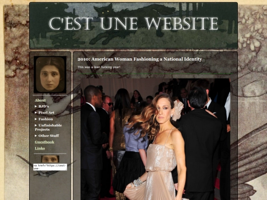 met2010 screenshot