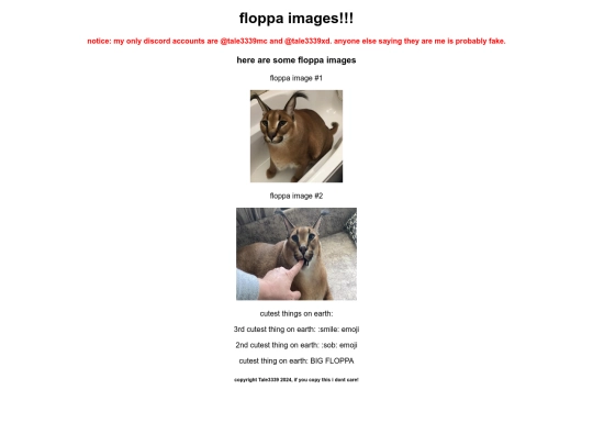 floppa screenshot