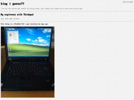 blog screenshot