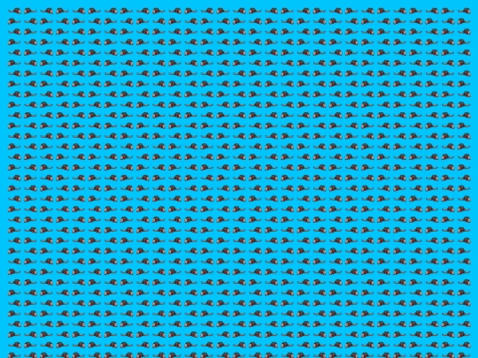 pageof/molga screenshot