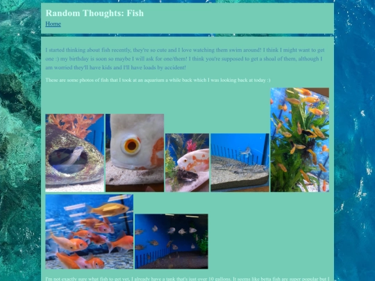 randomthoughts/randomthoughts screenshot