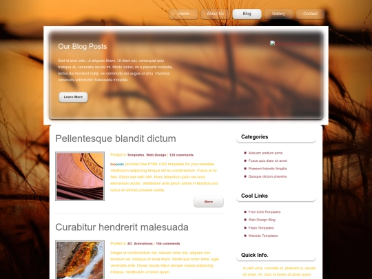 blog screenshot