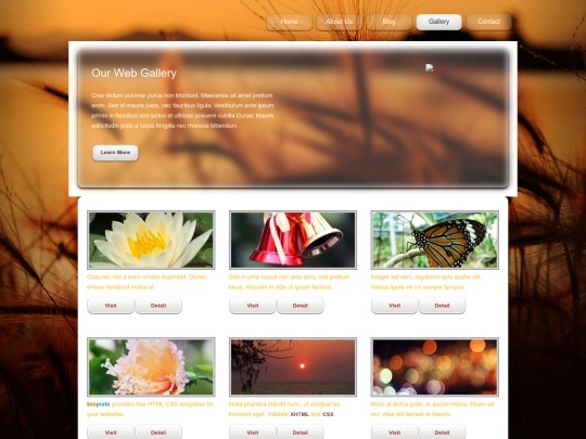 gallery screenshot