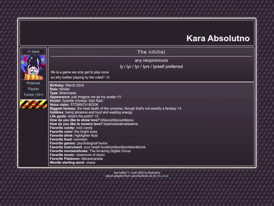pages/kara screenshot