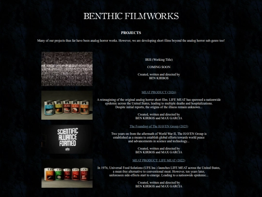 projects screenshot