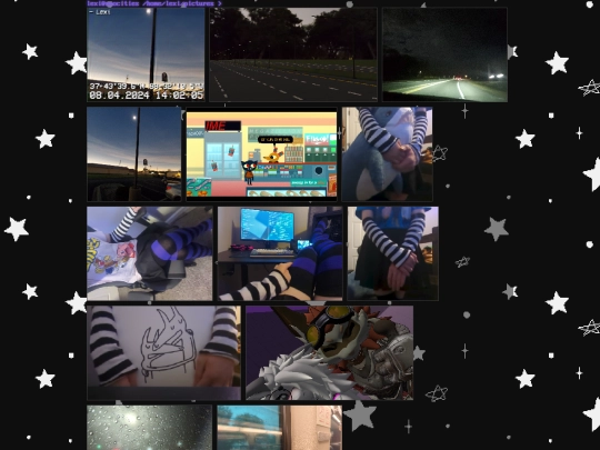 pages/gallery screenshot