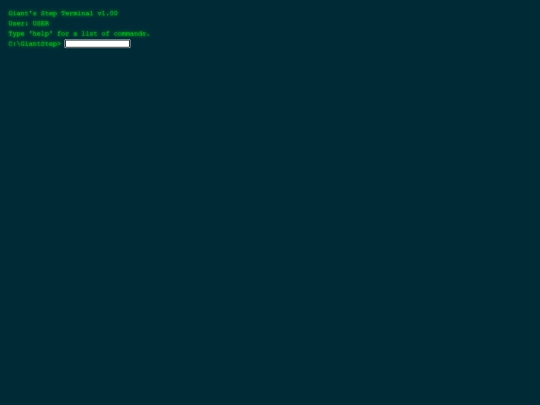 terminal screenshot