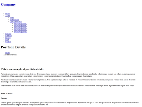 portfolio-details screenshot