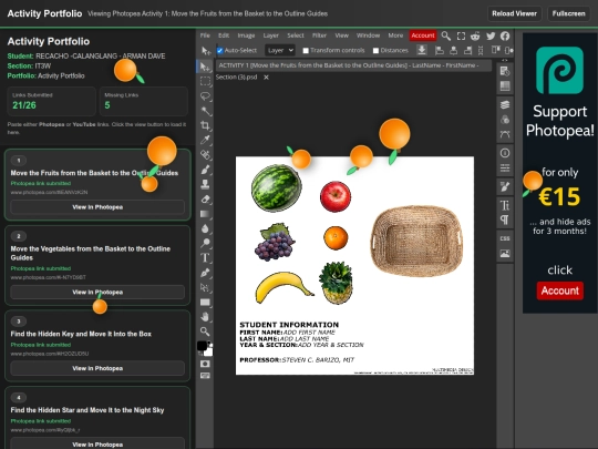 Online Activity Portfolio (4) screenshot