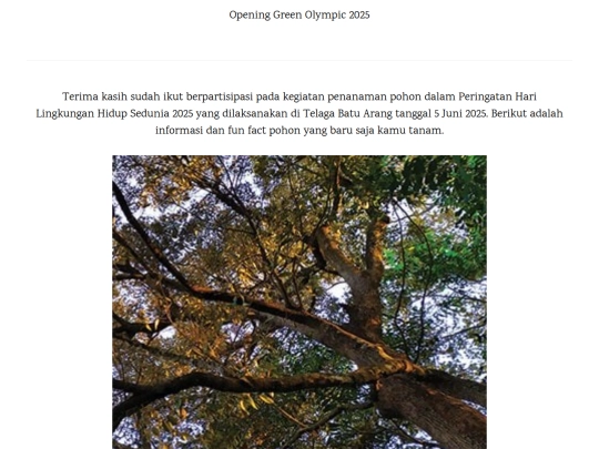 bayur screenshot