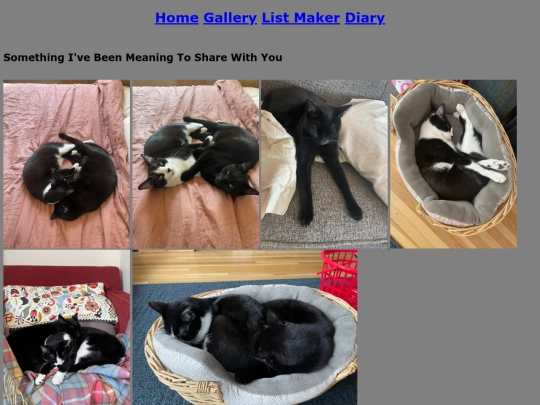 gallery screenshot