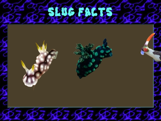 slugfacts screenshot
