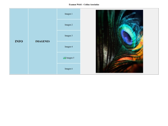 Examen screenshot