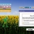 asleepingsunflower.yorniq.xyz avatar