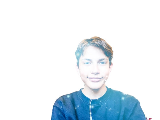whatever this is/html screenshot