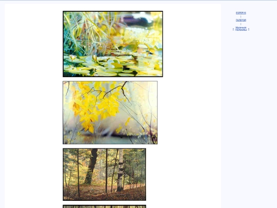 bel/vyjava/pays screenshot
