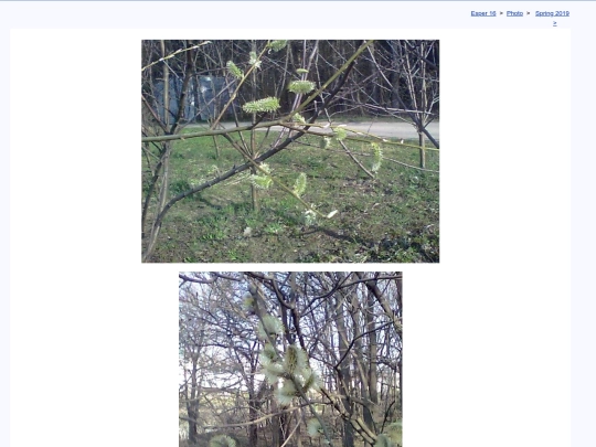 eng/photo/april19 screenshot