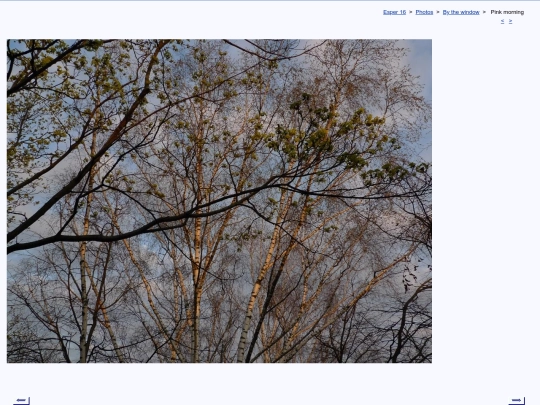 eng/photo/windy/t200430a screenshot