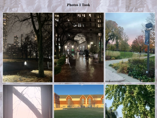 photography screenshot