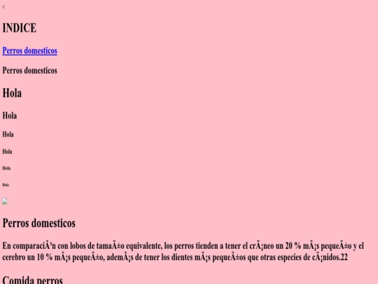 index screenshot