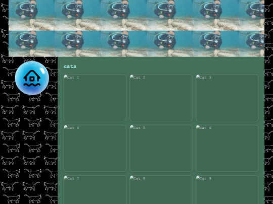 cats screenshot