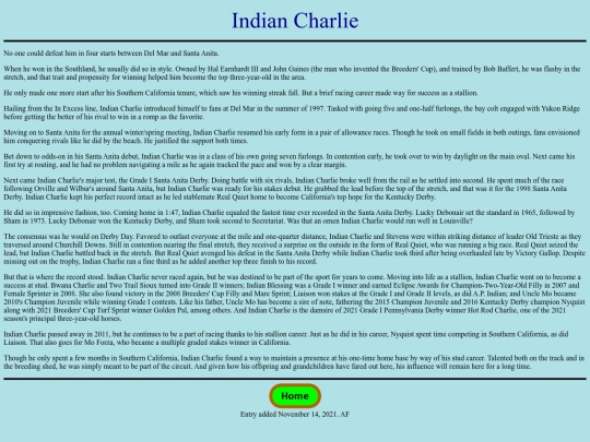Horses/I/IndianCharlie screenshot