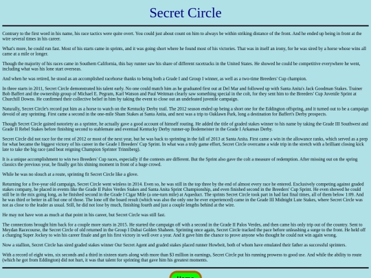 Horses/S/SecretCircle screenshot