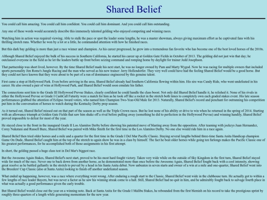 Horses/S/SharedBelief screenshot