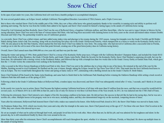 Horses/S/SnowChief screenshot