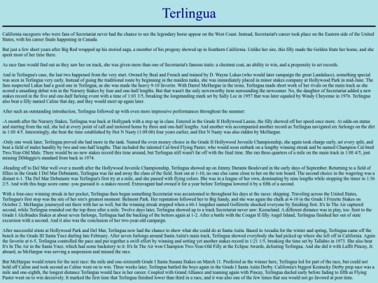 Horses/T/Terlingua screenshot