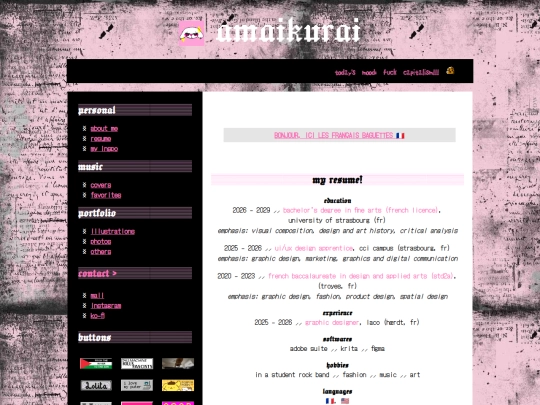 resume screenshot
