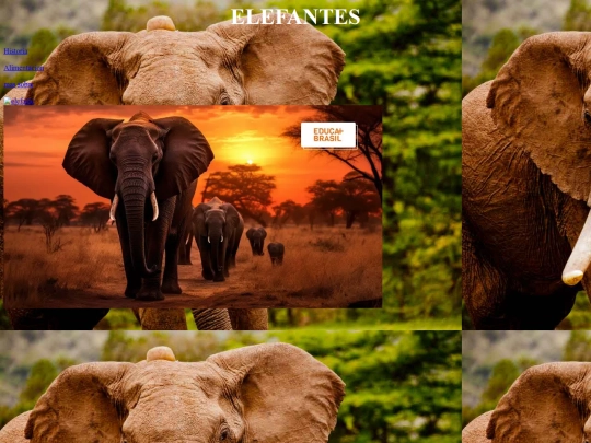 elefante screenshot