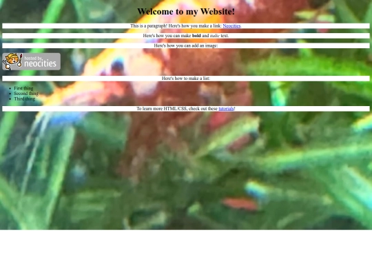 palkiaiframe screenshot