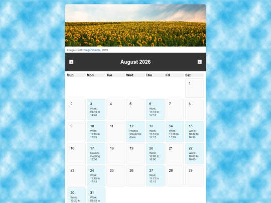 diary screenshot