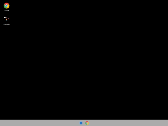 fakevirus screenshot