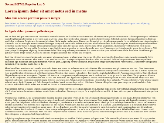 Lab 5/Lab5-Latin screenshot