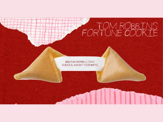 fortunes/fortune12 screenshot