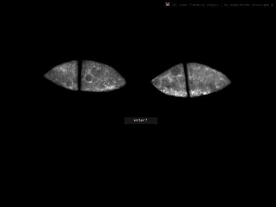 test screenshot