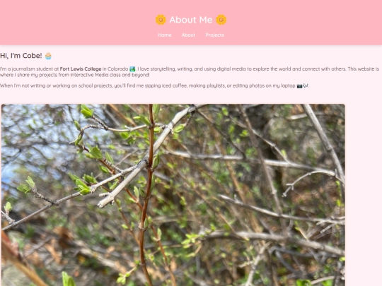 about screenshot