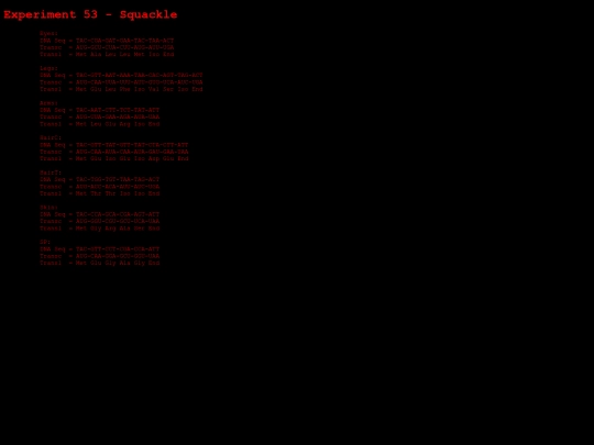 exp0 screenshot
