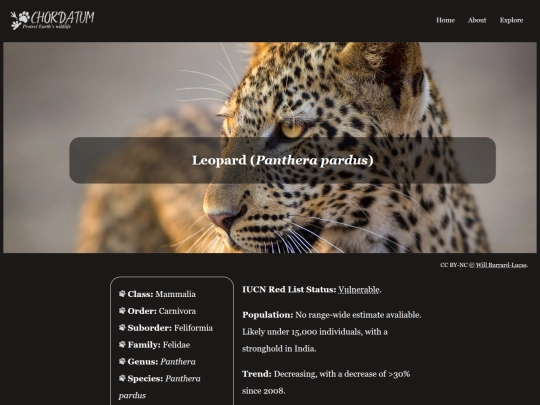 leopard screenshot