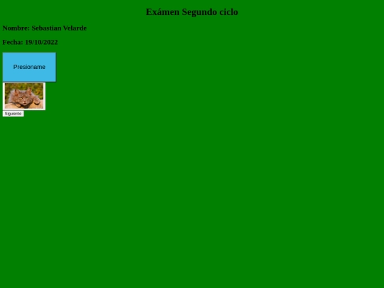 Prueba_SebastianVelarde screenshot