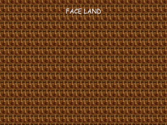 FACELAND screenshot